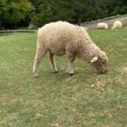 ヒメ日記 2025/05/13 21:34 投稿 とうこ 熟女家 十三店