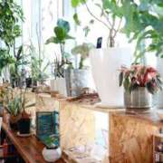 ヒメ日記 2025/05/16 07:53 投稿 とうこ 熟女家 十三店