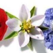 ヒメ日記 2025/05/20 12:54 投稿 とうこ 熟女家 十三店