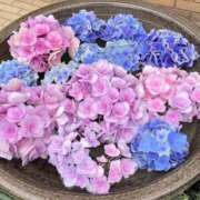 ヒメ日記 2025/05/28 09:34 投稿 とうこ 熟女家 十三店