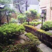 ヒメ日記 2025/05/29 12:53 投稿 とうこ 熟女家 十三店