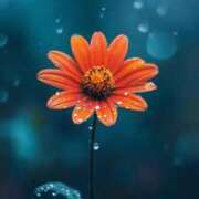 ヒメ日記 2025/06/14 12:45 投稿 とうこ 熟女家 十三店