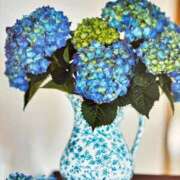 ヒメ日記 2025/06/28 12:48 投稿 とうこ 熟女家 十三店