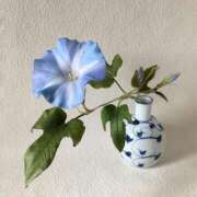 ヒメ日記 2025/08/31 11:49 投稿 とうこ 熟女家 十三店