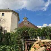 ヒメ日記 2025/09/04 16:17 投稿 とうこ 熟女家 十三店