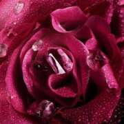 ヒメ日記 2025/11/16 20:09 投稿 とうこ 熟女家 十三店