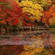 ヒメ日記 2025/11/23 12:47 投稿 とうこ 熟女家 十三店