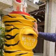 ヒメ日記 2025/11/23 22:14 投稿 とうこ 熟女家 十三店