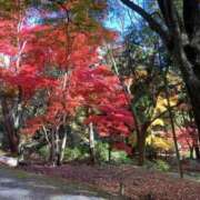 とうこ 昨日のお礼です 熟女家 十三店