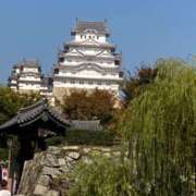 ヒメ日記 2026/01/11 15:02 投稿 とうこ 熟女家 十三店