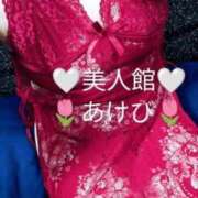 ヒメ日記 2025/12/23 22:13 投稿 あけび 人妻美人館