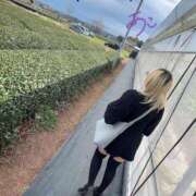 ヒメ日記 2025/04/07 10:04 投稿 あこ 西川口前立腺研究所