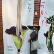 ヒメ日記 2025/06/10 10:04 投稿 あこ 西川口前立腺研究所