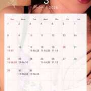 ヒメ日記 2026/03/08 08:30 投稿 北条 シャトーペトラ