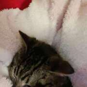 ヒメ日記 2026/01/20 17:39 投稿 神上りかこ 西川口風俗ド淫乱ンド