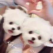 ヒメ日記 2026/01/14 14:14 投稿 森本こゆき 西川口風俗ド淫乱ンド