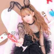 ヒメ日記 2025/06/03 10:22 投稿 莉乃 the SPA KADOEBI