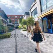 ヒメ日記 2026/05/25 15:20 投稿 莉乃 the SPA KADOEBI