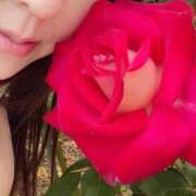 ヒメ日記 2025/01/07 12:12 投稿 れいら モアグループ 土浦人妻花壇