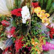 ヒメ日記 2025/01/04 11:54 投稿 かおり★人妻KISS★ 人妻kiss