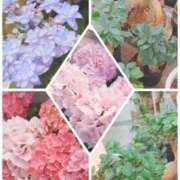 ヒメ日記 2025/04/24 09:27 投稿 かおり★人妻KISS★ 人妻kiss