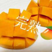 ヒメ日記 2025/08/28 11:23 投稿 かおり★人妻KISS★ 人妻kiss