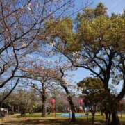 ヒメ日記 2026/03/27 10:40 投稿 かおり★人妻KISS★ 人妻kiss