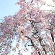 ヒメ日記 2026/03/28 16:51 投稿 かおり★人妻KISS★ 人妻kiss