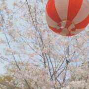 ヒメ日記 2026/03/29 20:01 投稿 かおり★人妻KISS★ 人妻kiss