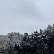 ヒメ日記 2026/02/08 12:29 投稿 阿部まりあ 川崎小町（川崎ハレ系）