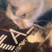 ヒメ日記 2026/03/09 07:47 投稿 阿部まりあ 川崎小町（川崎ハレ系）