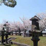 ヒメ日記 2025/04/09 15:20 投稿 みのり 豊満倶楽部