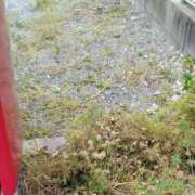 ヒメ日記 2025/05/01 11:50 投稿 みのり 豊満倶楽部