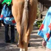 ヒメ日記 2025/05/04 15:50 投稿 みのり 豊満倶楽部