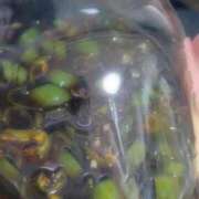 ヒメ日記 2025/05/26 22:53 投稿 みのり 豊満倶楽部