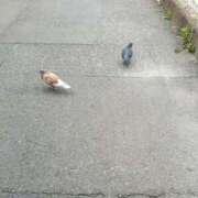 ヒメ日記 2025/05/31 12:03 投稿 みのり 豊満倶楽部