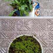 ヒメ日記 2025/06/03 16:50 投稿 みのり 豊満倶楽部