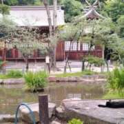 ヒメ日記 2025/07/01 13:50 投稿 みのり 豊満倶楽部