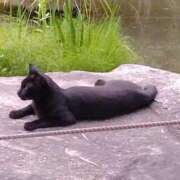 ヒメ日記 2025/07/07 13:00 投稿 みのり 豊満倶楽部