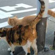 ヒメ日記 2025/11/27 15:20 投稿 みのり 豊満倶楽部