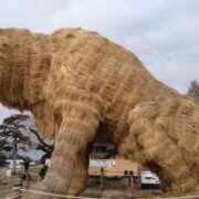 ヒメ日記 2026/01/16 22:00 投稿 みのり 豊満倶楽部