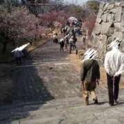 ヒメ日記 2026/02/15 20:00 投稿 みのり 豊満倶楽部