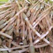 ヒメ日記 2026/03/08 22:10 投稿 みのり 豊満倶楽部