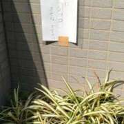 ヒメ日記 2026/03/17 16:00 投稿 みのり 豊満倶楽部