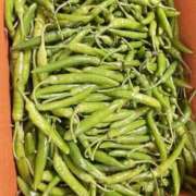 ヒメ日記 2024/12/18 05:40 投稿 れいか 豊満倶楽部