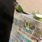 ヒメ日記 2025/05/19 04:10 投稿 れいか 豊満倶楽部