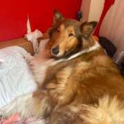 ヒメ日記 2025/06/01 18:31 投稿 れいか 豊満倶楽部