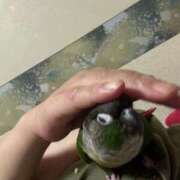 ヒメ日記 2025/06/09 12:23 投稿 れいか 豊満倶楽部