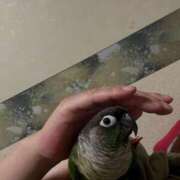 ヒメ日記 2025/06/10 00:40 投稿 れいか 豊満倶楽部