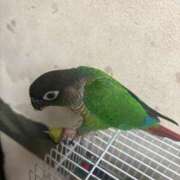 ヒメ日記 2025/06/27 20:50 投稿 れいか 豊満倶楽部